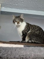 /album/27-10-2025/afbeelding-van-whatsapp-op-2025-10-26-om-14-23-18-f556e81e-jpg/